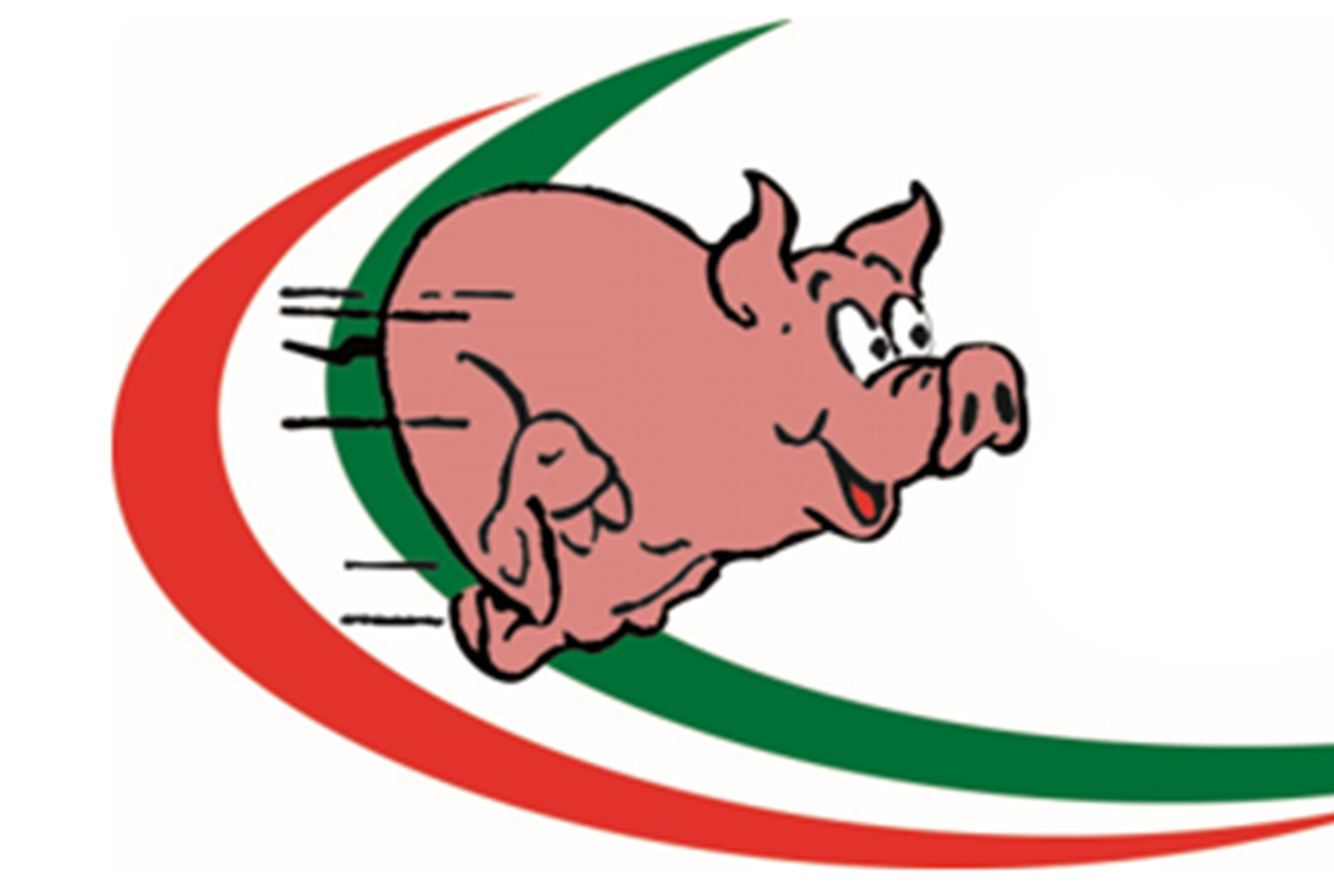 Lebensmittel Online Bestellen Österreich und Deutschland